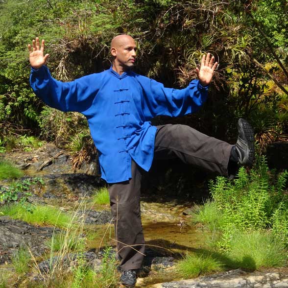 TAIJIWUXIGONG-DSC00599--588px TAIJIWUXIGONG DSC00599