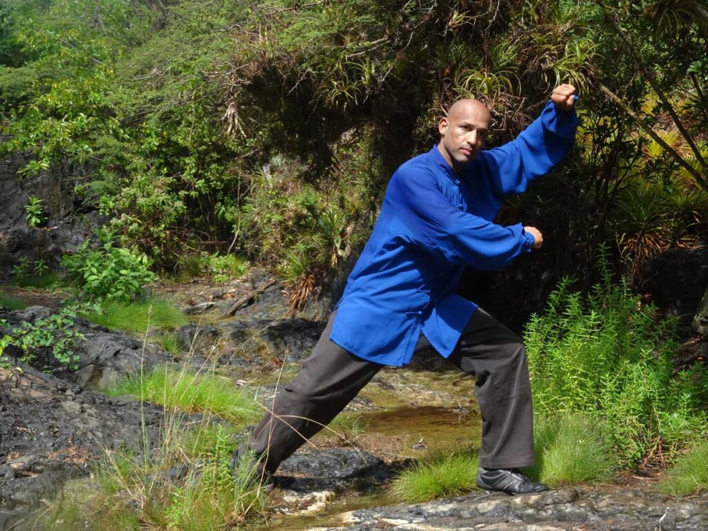 Taijiquan