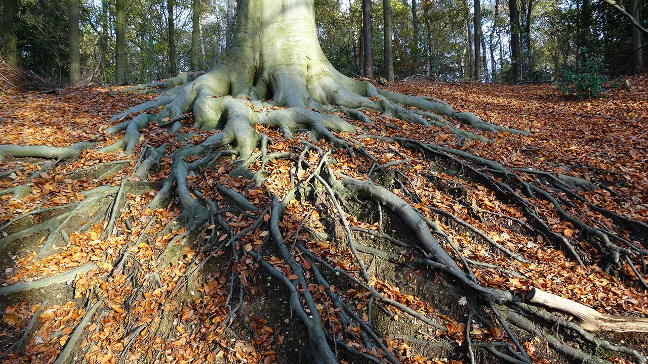 Evi Masters Groep Mensen