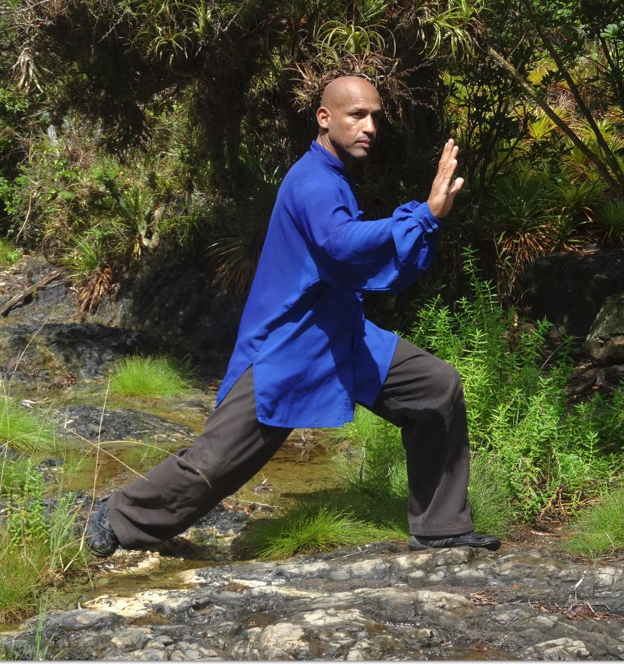 Taijiquan