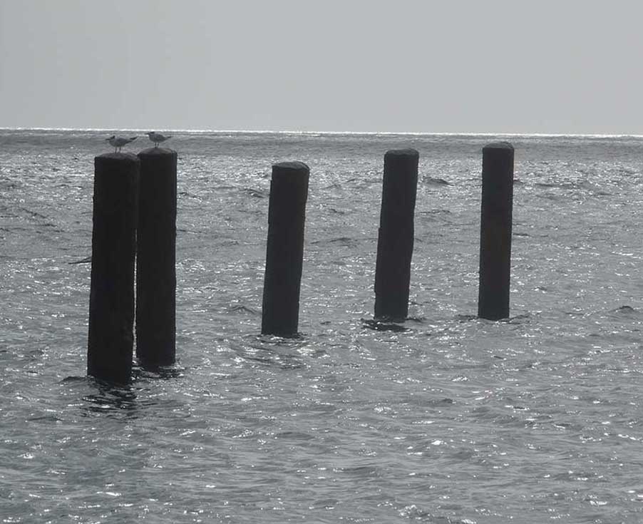 Trainers - Wie zijn Wij