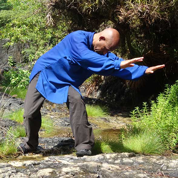 Wekelijkse-Lessen-TaijiWuxiGong-DSC00594-588px Wekelijkse-Lessen-TaijiWuxiGong